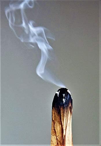 1 Pound. Palo Santo Smudging Sticks, High Resin Palo Santo, Holy Wood. Premium Certified Authentic, Wild Harvested Incense Stick for Purifying, Cleansing, Healing, Meditation and Stress Relief