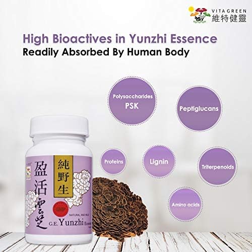Vita Green Turkey Tail Mushroom Capsules Essence, Real Mushrooms Supplement Natural Mycelium Organic Mushrooms Extract, Immune Energy Turkey Tail Mushrooms, Antioxidant Mushroom Supplement 10 Capsules
