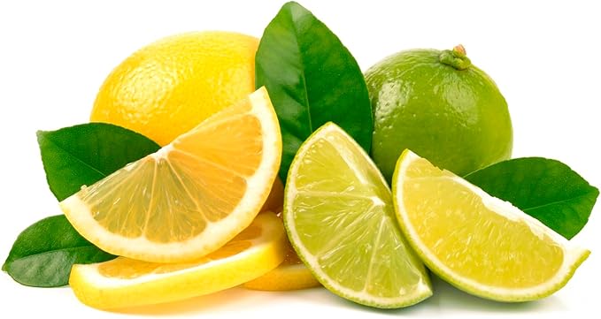 Creatine Electrolyte Packets - Sugar Free Electrolytes - 5g Creatine Monohydrate Powder- Lemon Lime Flavor - 15 Stick Pack