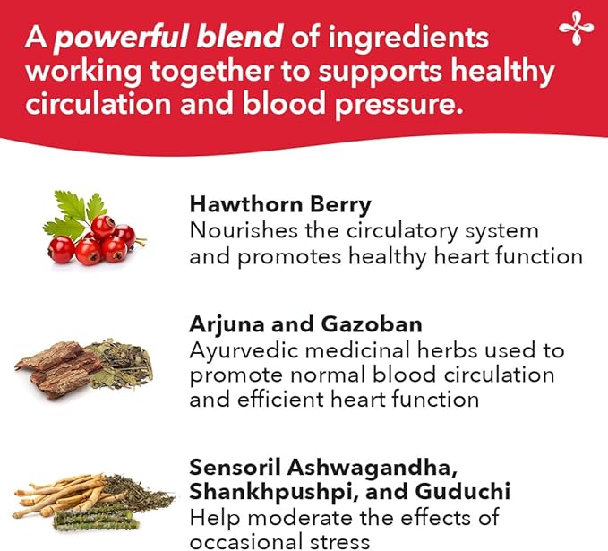 LifeSeasons B/P Stabili-T - Blood Pressure Support - Vitamin Supplement for Healthy Heart & Circulation - Ashwagandha, Arjuna & Hawthorn Berry - 240 Capsules