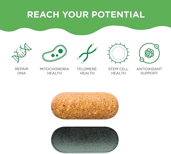 HealhtyCell AM/PM Healthspan System - 90+ Vitamins, Minerals, Protective Phytonutrients, Probiotics & Enzymes for Advanced Cellular Nutrition - 60 AM Tablets & 60 PM Tablets