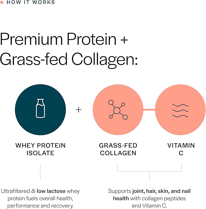Gainful Collagen Whey Protein Powder, 21g Protein per Serving, Unflavored, Supports Muscle Recovery, Joint Health, and Skin Hydration with Grass-Fed Collagen Peptides, Vitamin C, 14 Servings