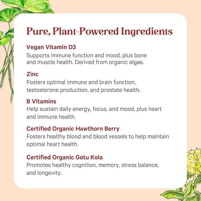 PURE SYNERGY Vita·Min·Herb for Men | Men’s Comprehensive Multivitamin Supplement | Made with Organic Whole Food Non-GMO Ingredients | Daily Energy & Immune Support (120 Tablets)