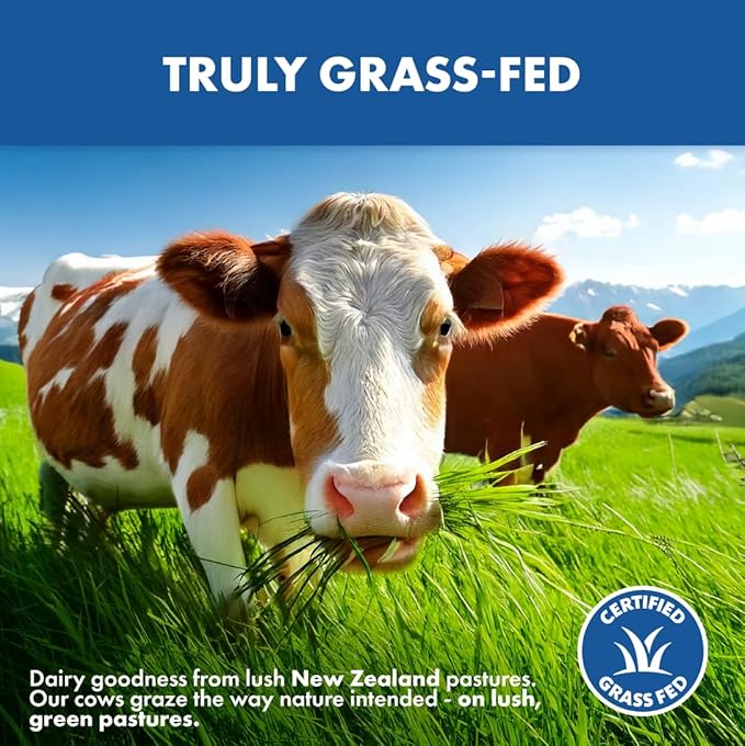 Opportuniteas Grass Fed Whey Protein Powder Concentrate - 1 Ingredient - Pure Protein Supplement for Drink, Smoothie, Shake, Cooking & Baking - Non GMO, Hormone Free & Gluten Free - 1 Pound
