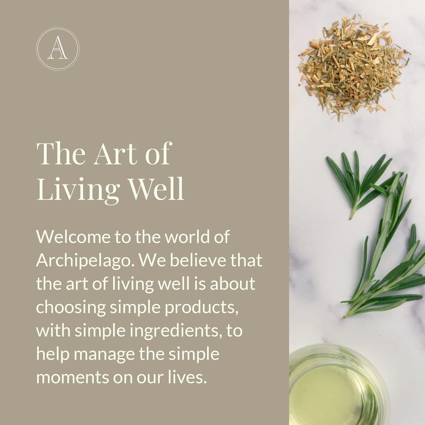 Archipelago Botanicals Oat Milk Lotion, Nurturing and Soothing Daily Moisturizer for Dry or Sensitive Skin, Hydrating Body Lotion, Paraben-Free, Phthalate-Free, 18 oz