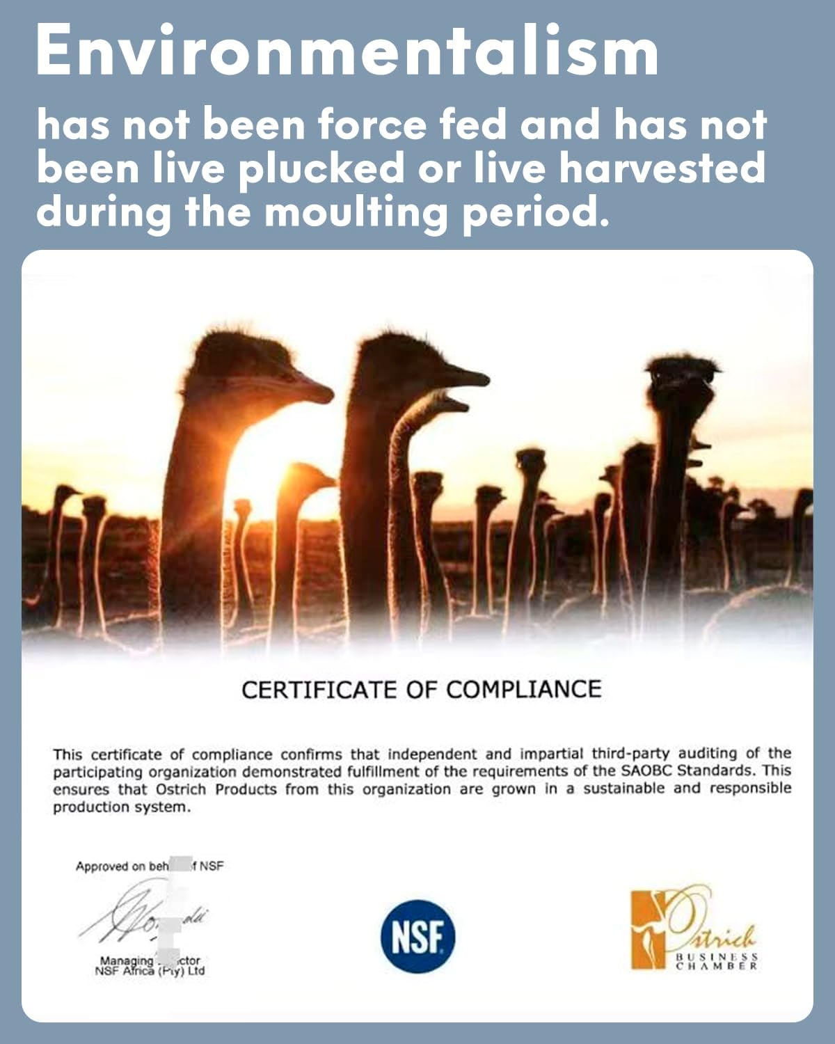 NEWONG 30pcs Champagne Ostrich Feathers Natural Bulk 8-10inch(20-25cm) Vase Craft Wedding Home Party Centerpieces Christmas Day Decoration