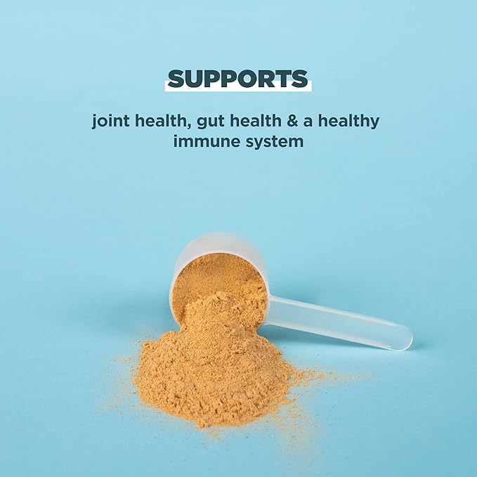 Ancient Nutrition Bone Broth Protein Powder, Salted Caramel, 19g Protein per Serving, Beef, Supports Healthy Skin, Gut Health, Joint Supplement, Gluten Free, Paleo and Keto Friendly, 20 Servings