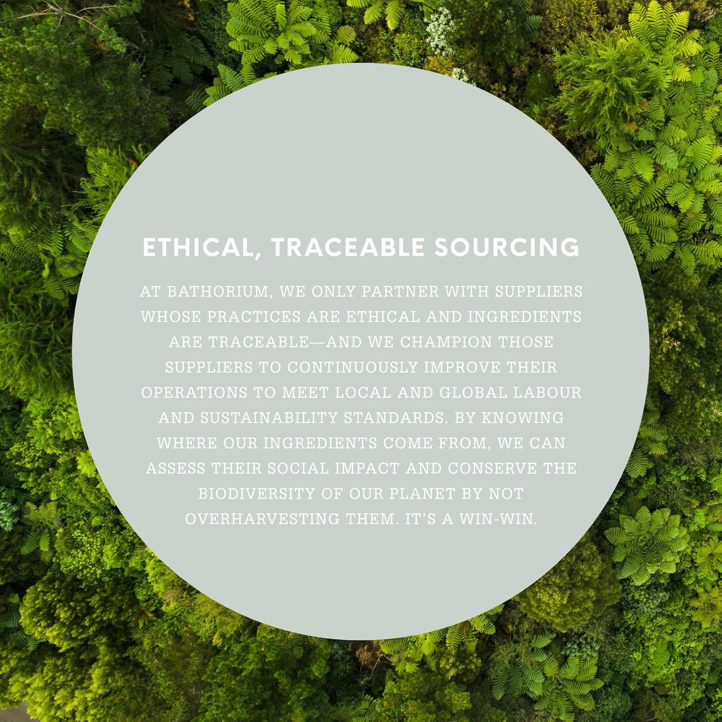 The Bathologist Sleep Creamy Body Wash, Lavender & Mint, Calming Body Cleanser for Evening Self-Care, Hydrating, Gentle Formula for All Skin Types, 7 oz