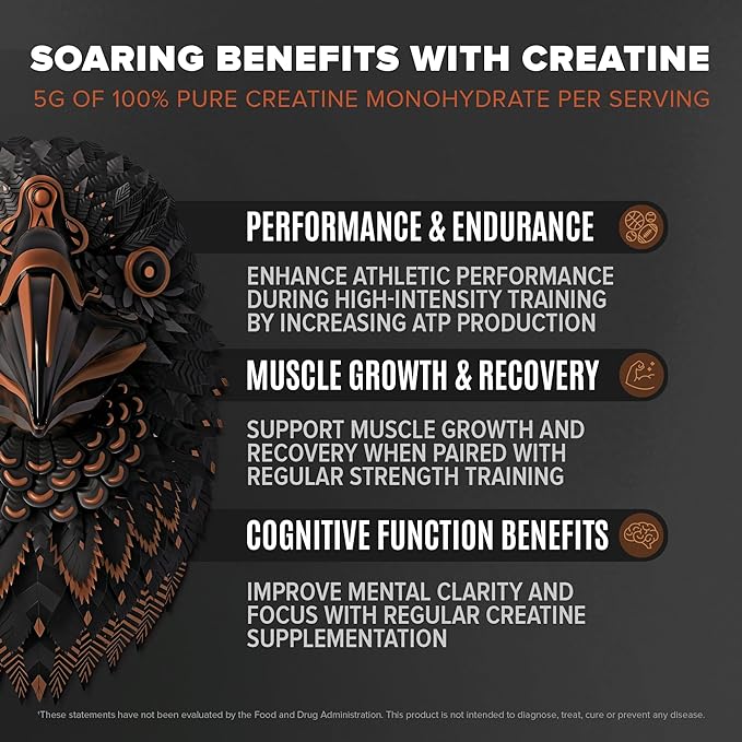 Falcon Performance Vegan Protein Powder, 31g Protein, 5g Creatine, 5g BCAA, Probiotics, Electrolytes, Pre Workout, Low Carb, Sugar Free & Dairy Free, Plant Based Chocolate Protein -47 servings