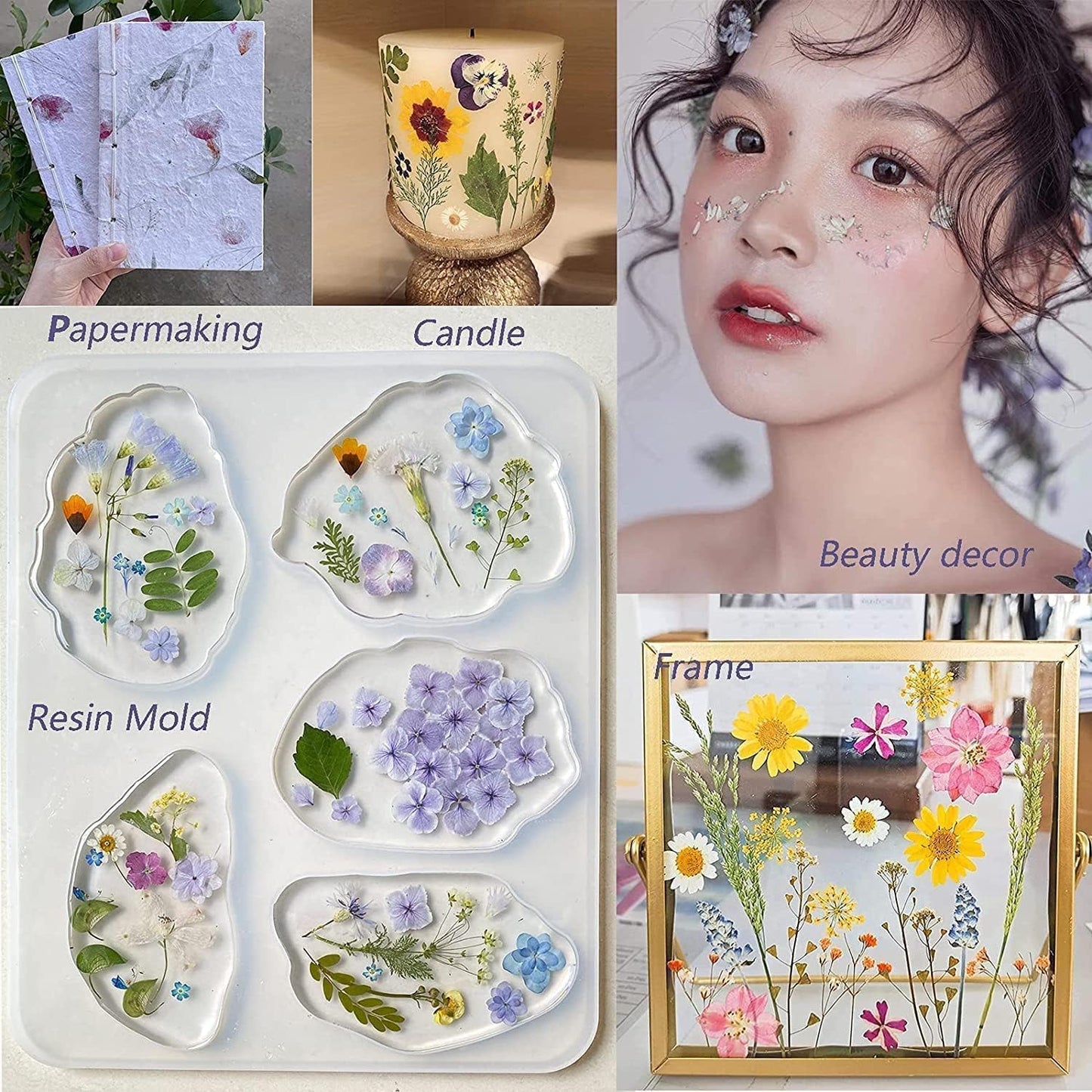 Real Dried Pressed Flowers Leaf Plant Herbarium for Crafts Resin Jewelry Making, Floral Cake Decorations-Light Pink