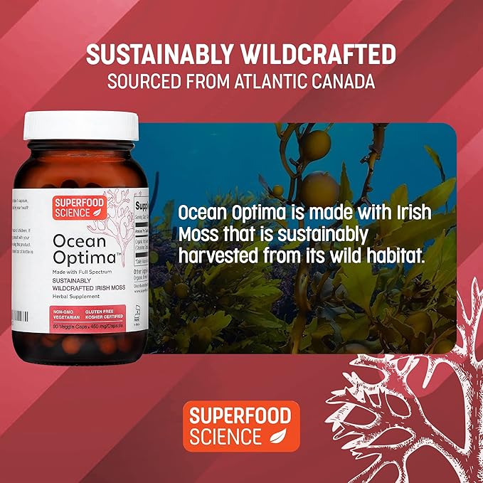 Ocean Optima Wild Irish Sea Moss Organic & Kosher, 100% Natural Sea Kelp Iodine Supplement, Minerals & Amino Acids for Thyroid, Hair Skin Nail, Digestion, Chondrus Crispus, Gym Essentials, 90 Caps