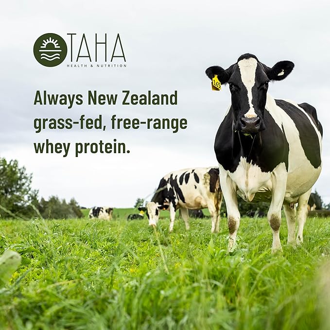 Taha Health & Nutrition Mind + Body Protein Blend – German Chocolate | 25g Protein from Whey & Collagen + 400mg Milk Phospholipids | Grass-Fed, Free-Range New Zealand Dairy | 2LB