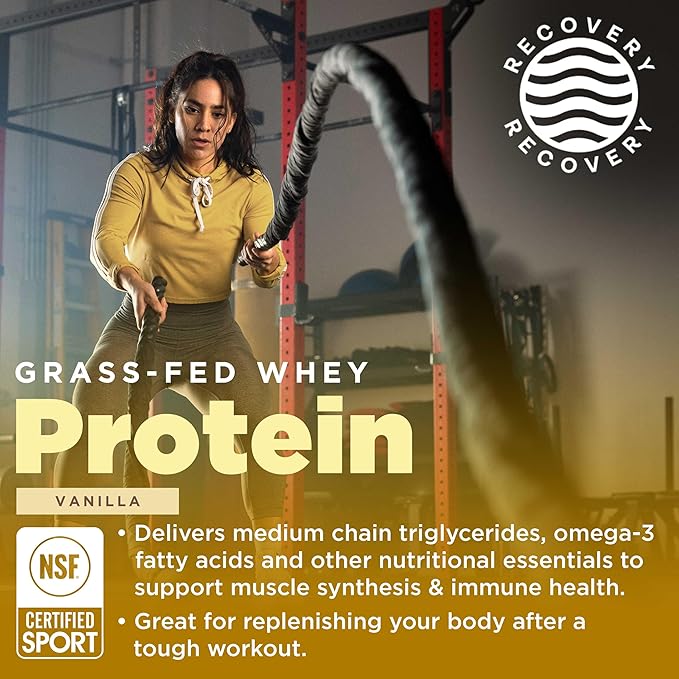 Gnarly Nutrition Vanilla Protein Powder – NSF Sport Certified – 25g Protein, Muscle Repair – Grass Fed Whey Powder, Smooth Taste – Vanilla, 32 oz