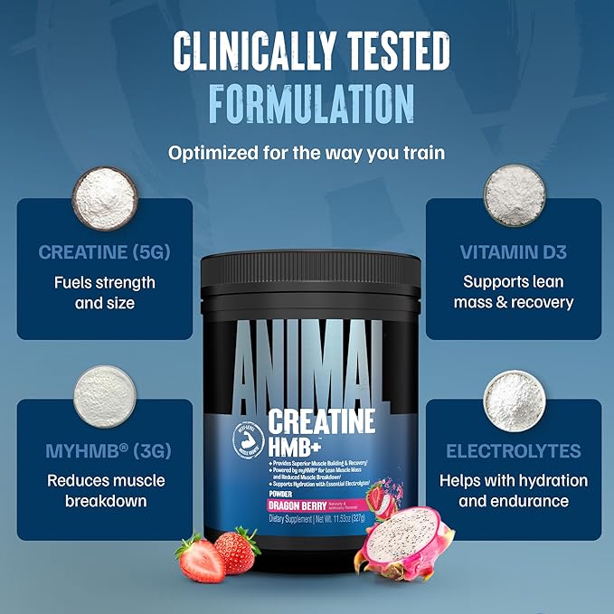 Animal Creatine HMB Powder – 5g Creatine + 3g myHMB with Electrolytes for Recovery & Daily Energy – Dragon Berry Flavor, 30 Servings
