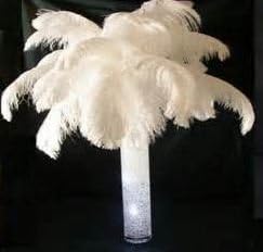 Sowder 14-16inch(35-40cm) Ostrich Feathers,Ostrich Plume,Wedding centerpieces Feathers Plume for Wedding Centerpieces Home Decoration Pack of 10pcs(White)