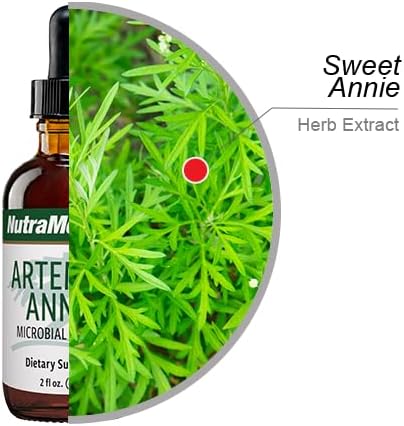 NutraMedix Artemisia Annua - Immune Support Supplement for Healthy Microbial Support + Antioxidant Activity - Sweet Annie Herb Extract (2 oz)