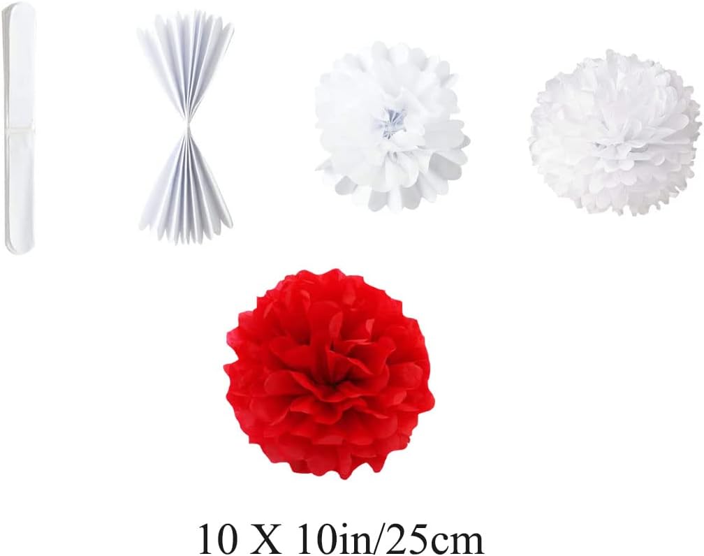 10in Paper Pom Poms - Red Tissue Paper Flower Hanging Balls - Wedding Party Decorations - DIY Art Craft Blooms for Birthday, Baby Shower, Nursery Decor