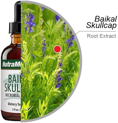 NutraMedix Baikal Skullcap Tincture - Daily Skullcap Supplement for Heart Health + Immune Support - May Promote a Wide Range of Microbial Support (2 oz)