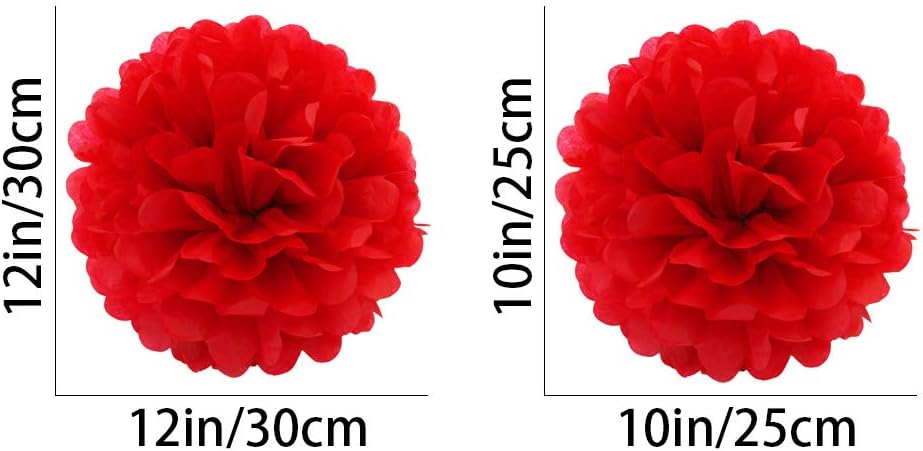 Red Paper Pom Poms - Party Tissue Paper Flowers Balls - Party Hanging Decoration Supplies - Size of 10inch, 12inch, Great for Wedding, Birthday, Any Parties and Events (12 PCS)