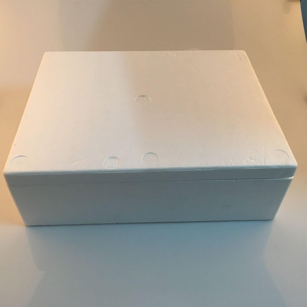 Cocktails Palm Tree Real Glass Neon Light Sign Home Beer Bar Pub Recreation Room Game Room Windows Garage Wall Store Sign (17"x14" Large)