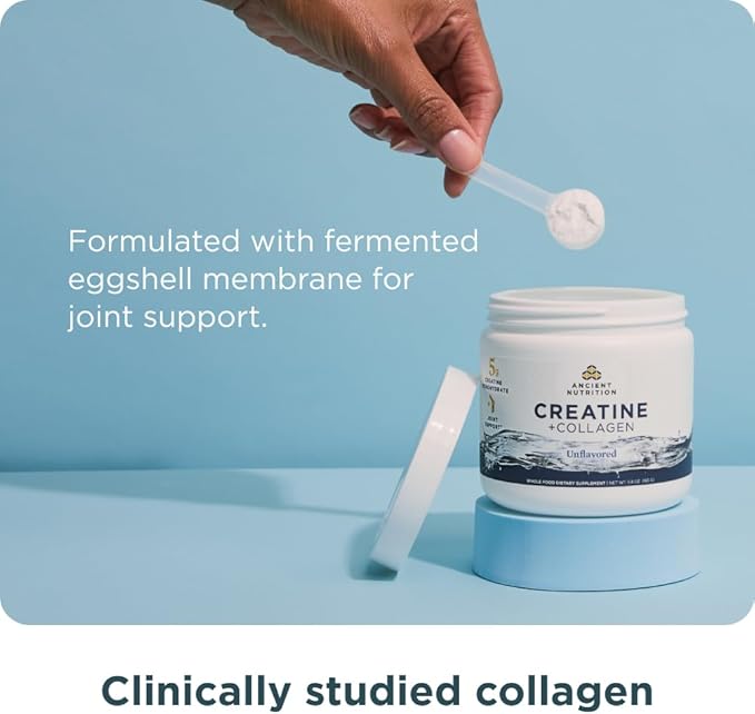 Ancient Nutrition Creatine + Collagen – Muscle Strength, Lean Body Mass, Joint Comfort & Cognitive Support – Includes 5g Creatine Monohydrate for Women, 30 Servings