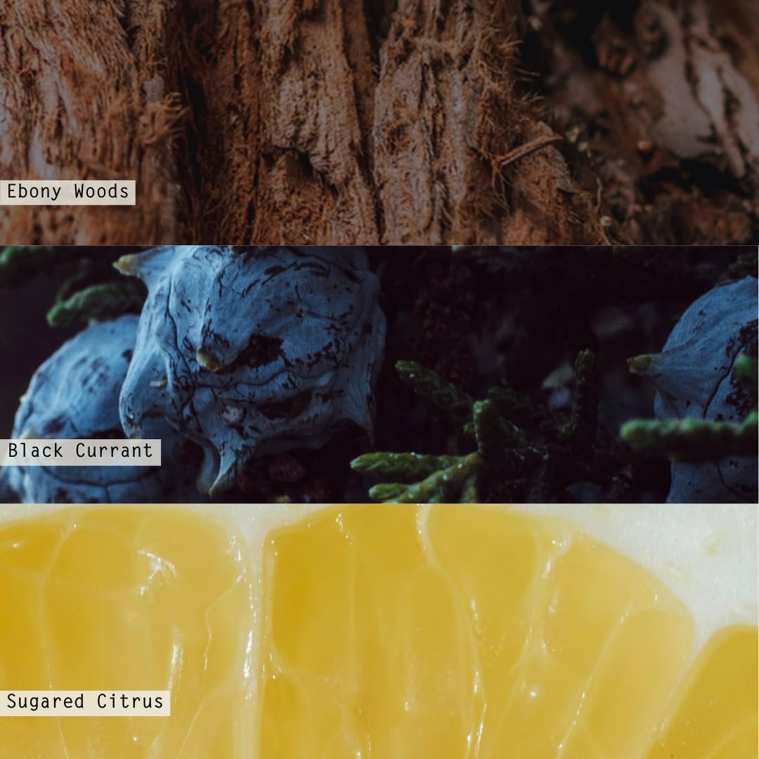 ILLUME Small Boxed Crackle Glass Candle, North Sky