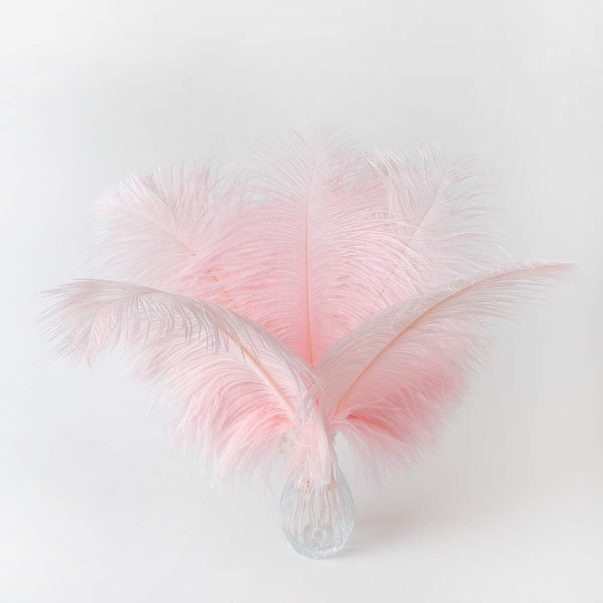 24pcs Natural Light Pink Ostrich Feathers 10-12inch (25-30cm) for Wedding Party Centerpieces，Flower Arrangement and Home Decoration.