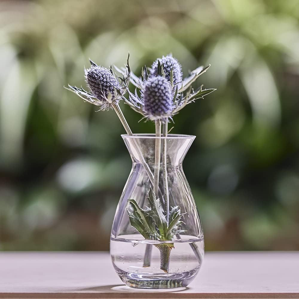 CHIVE ‘George’ Glass Bottle Flower Vases — Set of 6 — Small, Elegant Clear Glass Bud Vases — Bulk Pack for Home Decor & Table Centerpieces — Shape 2 (Oval, 5" Tall, 2.5" Wide)