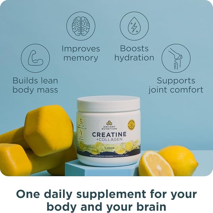 Ancient Nutrition Creatine + Collagen – Muscle Strength, Lean Body Mass, Joint Comfort & Cognitive Support – Includes 5g Creatine Monohydrate for Women + Electrolytes, Lemon, 30 Servings