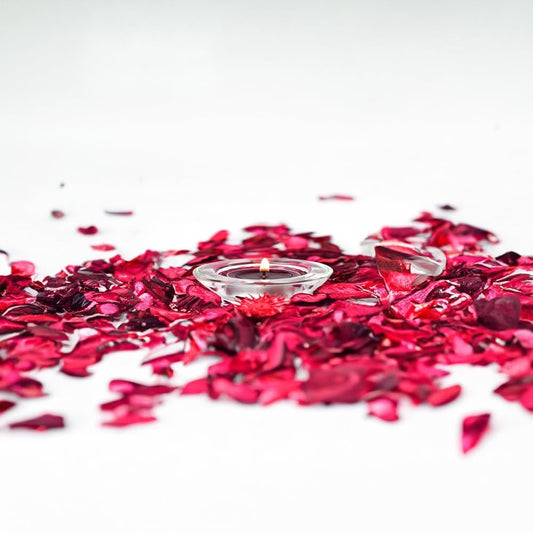 WGV Sturdy Tea Light Votive Candle Holder 3" W, Clear Heavy Thick Chubby Plate Bowl Glass, Small Accent Decor, 1 Pc