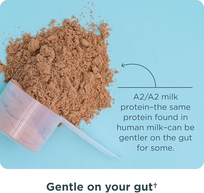 Ancient Nutrition Grass Fed Whey Protein, Chocolate Peanut Butter, 23g Protein, 18 Servings, Hydrolyzed Collagen Peptides, Organic Regenerative A2/A2 Milk Protein