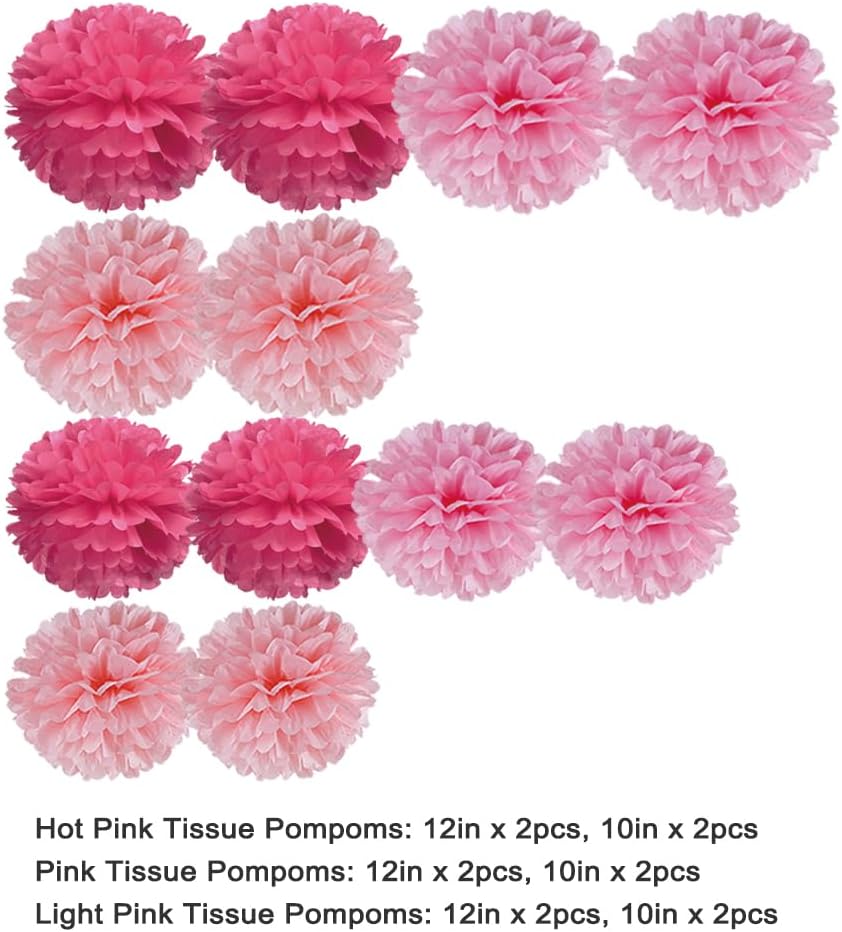 Pink Tissue Paper Pom Poms Flower for Valentine's Day Baby Shower Birthday Wedding Bachelorette Girl's Event Party Decoration, 12pc