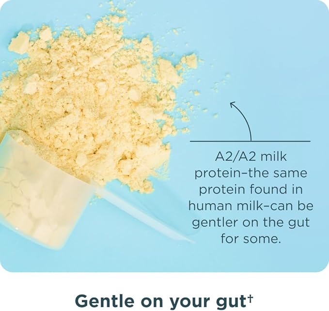 Ancient Nutrition Grass Fed Whey Protein, Vanilla Bean, 23g Protein, 20 Servings, Hydrolyzed Collagen Peptides, Organic Regenerative A2/A2 Milk Protein