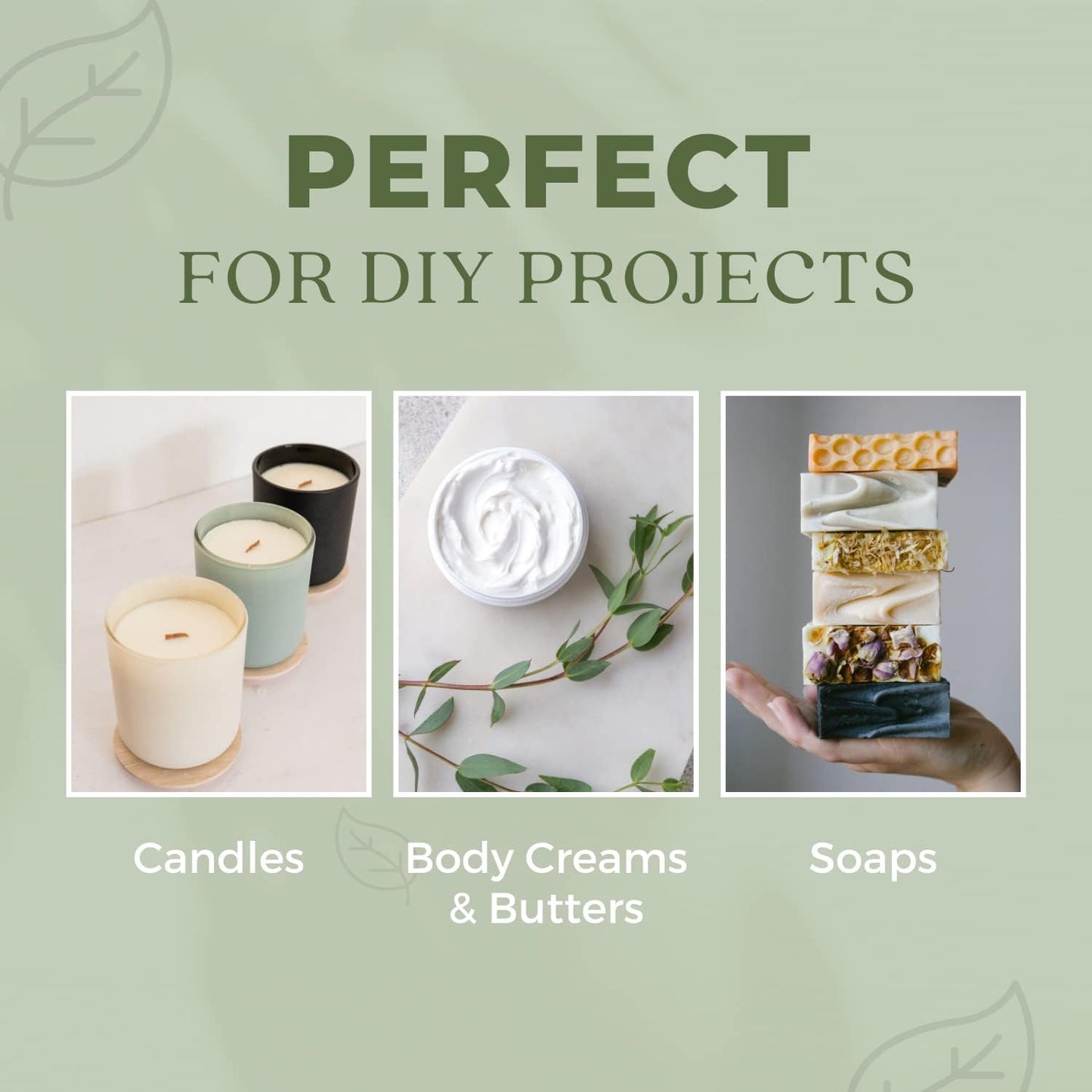 Basil Essential Oil,100% Pure & Natura, Therapeutic Grade Basil Oil for Aromatherapy, Great for Skin, Massage, Diffuser Candle & Soap Making, Plant Therapy 1 oz Bottle with Dropper