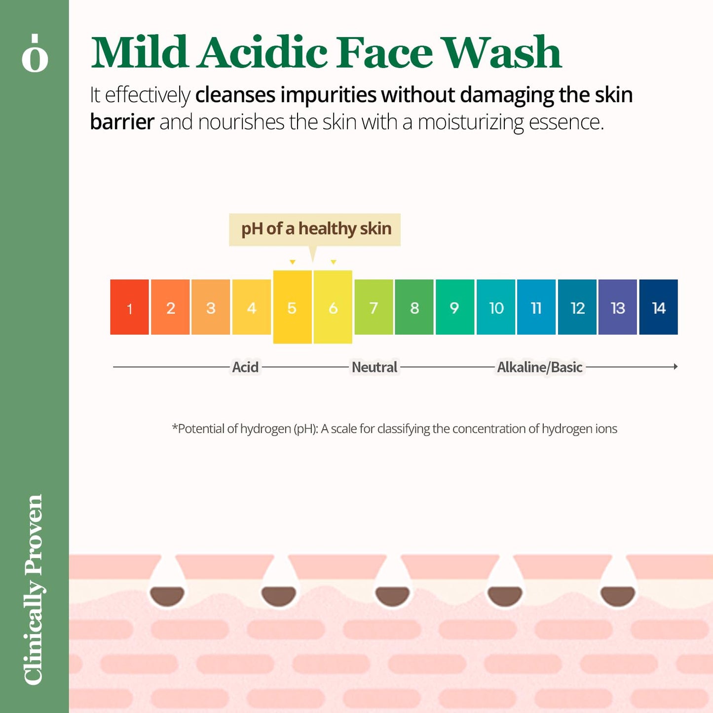 ONGREDIENTS Green Tea Cleansing Ball, Face Soap Bar, Jelly Ball Cleanser, Facial Cleanser, 3.8 Ounce