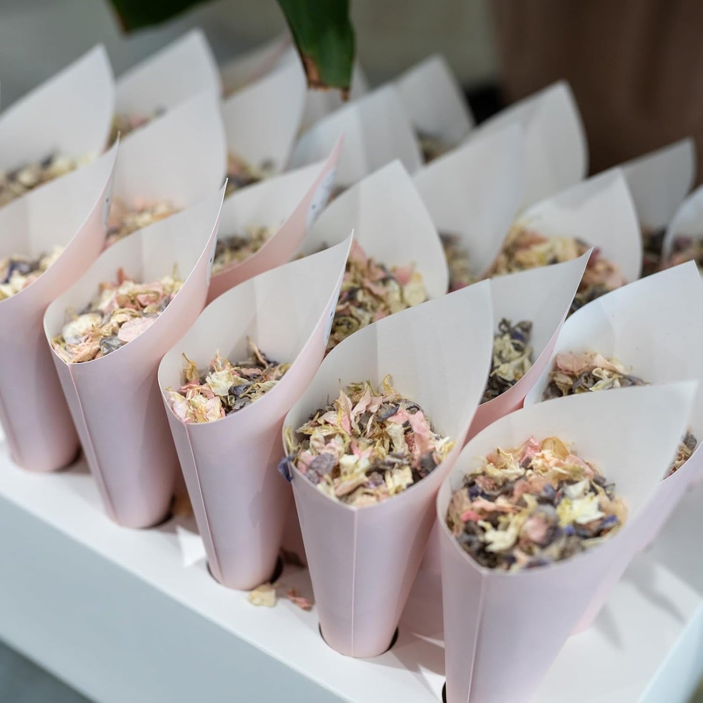 50 Pack Party Confetti Cone Holder - Bouquet Cones Petal Cones Holder with Double-sided Adhesive Tape, Apply to Birthday Party (White)