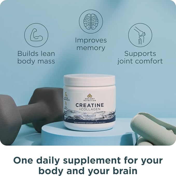 Ancient Nutrition Creatine + Collagen – Muscle Strength, Lean Body Mass, Joint Comfort & Cognitive Support – Includes 5g Creatine Monohydrate for Women, 30 Servings
