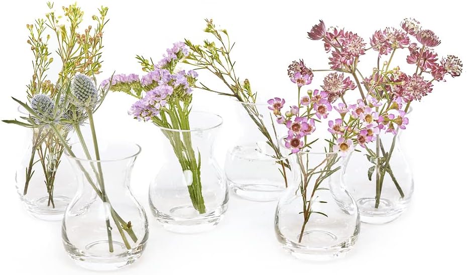 CHIVE ‘George’ Glass Bottle Flower Vases — Set of 6 — Small, Elegant Clear Glass Bud Vases — Bulk Pack for Home Decor & Table Centerpieces — Shape 4 (Oval, 4” Tall, 3” Wide)