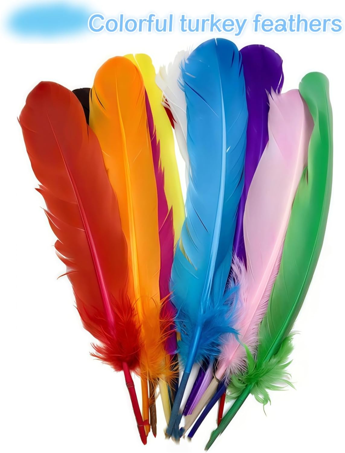 Colorful Turkey Feathers,22 Pcs Natural Feathers Bulk Long 10-12 inch (25-30cm),Turkish Feather for Crafts DIY Wedding Home Party Mardi Gras Decorations (Colorful)