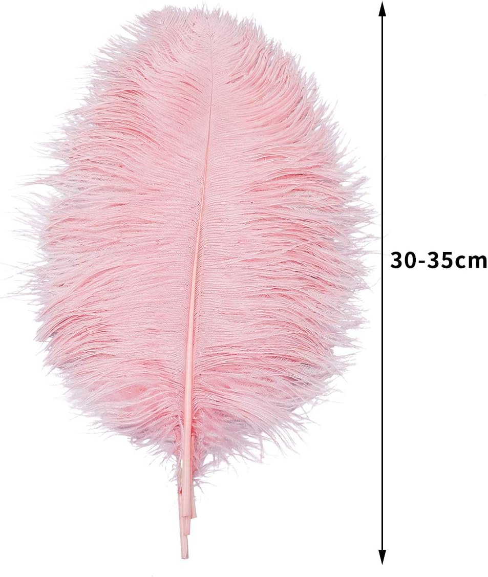12pcs Natural Lotus Pink Ostrich Feathers 12-14inch (30-35cm) for Wedding Party Centerpieces，Flower Arrangement and Home Decoration.