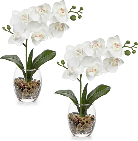 White Orchids Artificial Flowers with Vase, Small Faux Orchid Arrangement Set of 2 Fake Flowers in Glass Vases Small White Centerpieces for Kitchen Dining Room Tables Bathroom Nightstand Shelf Decor