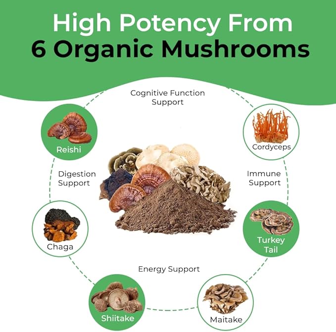 Cancer Sciences Organic Mushroom Supplement Capsules - 1,500mg Non-GMO Wellness Mushroom Complex 40% Beta-Glucans -Turkey Tail, Reishi, Cordyceps, Chaga Extract for Brain & Immune Support 120 Capsules