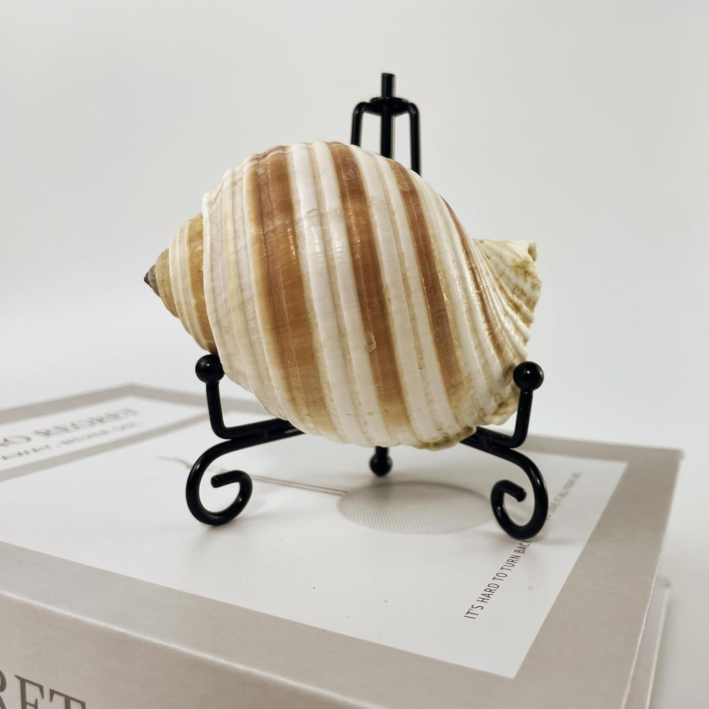 8PCS Premium Black Iron Plate Stands for Display 4 Inch, Decorative Solid Metal Plate Holders for Displaying, Mini Easel, Frame, Book, Card, Plaque, Bowl, Picture Stands for Display