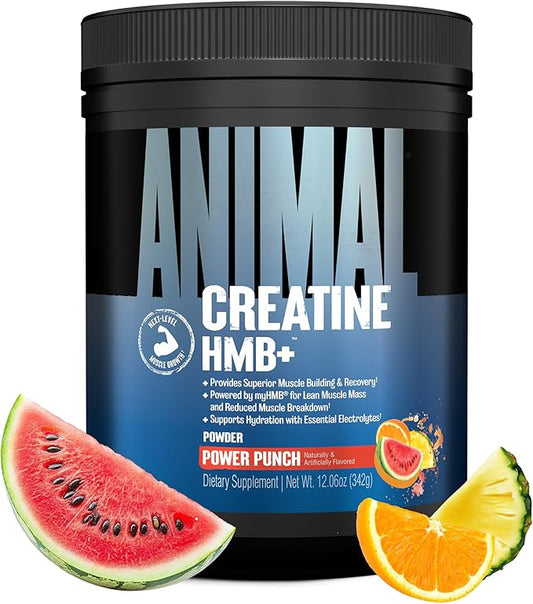 Animal Creatine HMB Powder – 5g Creatine + 3g myHMB with Electrolytes for Recovery & Daily Energy – Power Punch Flavor, 30 Servings