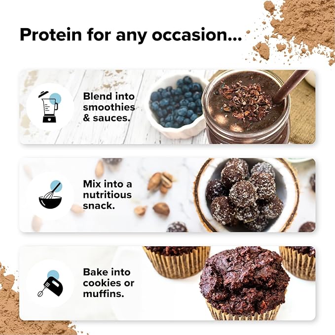 Complement Organic Chocolate Vegan Protein Powder (30 Servings) Low Carb, Low Calorie, Sugar Free, Soy Free, Non-GMO, Non Dairy - Yellow Pea, Pumpkin Seed - 15g Plant Based Protein Powder