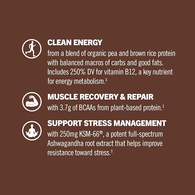 OM MUSHROOM SUPERFOOD Master Blend Creamy Chocolate Protein Powder, 16 Servings, Plant-Based with 10 Mushroom Complex for Recovery & Energy, GLP-1 Support