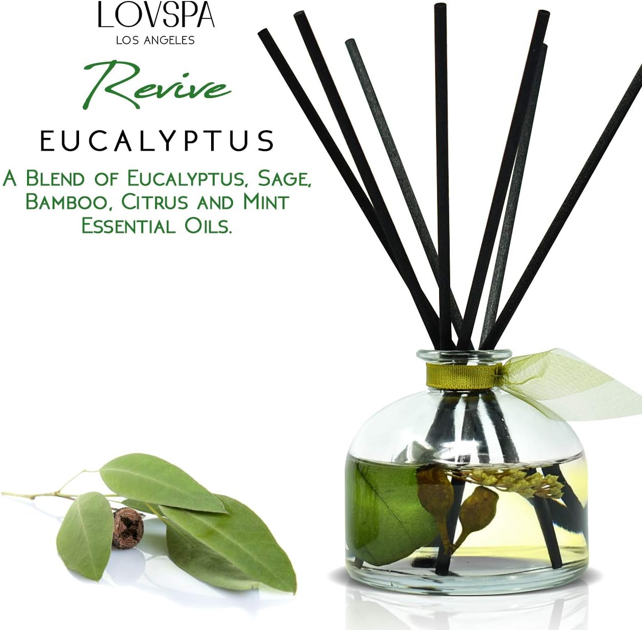 LOVSPA Eucalyptus Reed Diffuser Set for Home, Revive Fresh Eucalyptus, Sage, Citrus & Mint Scent Diffuser with Sticks for Bathroom Shelf Decor Accessories, Top Aromatherapy Gift for Women