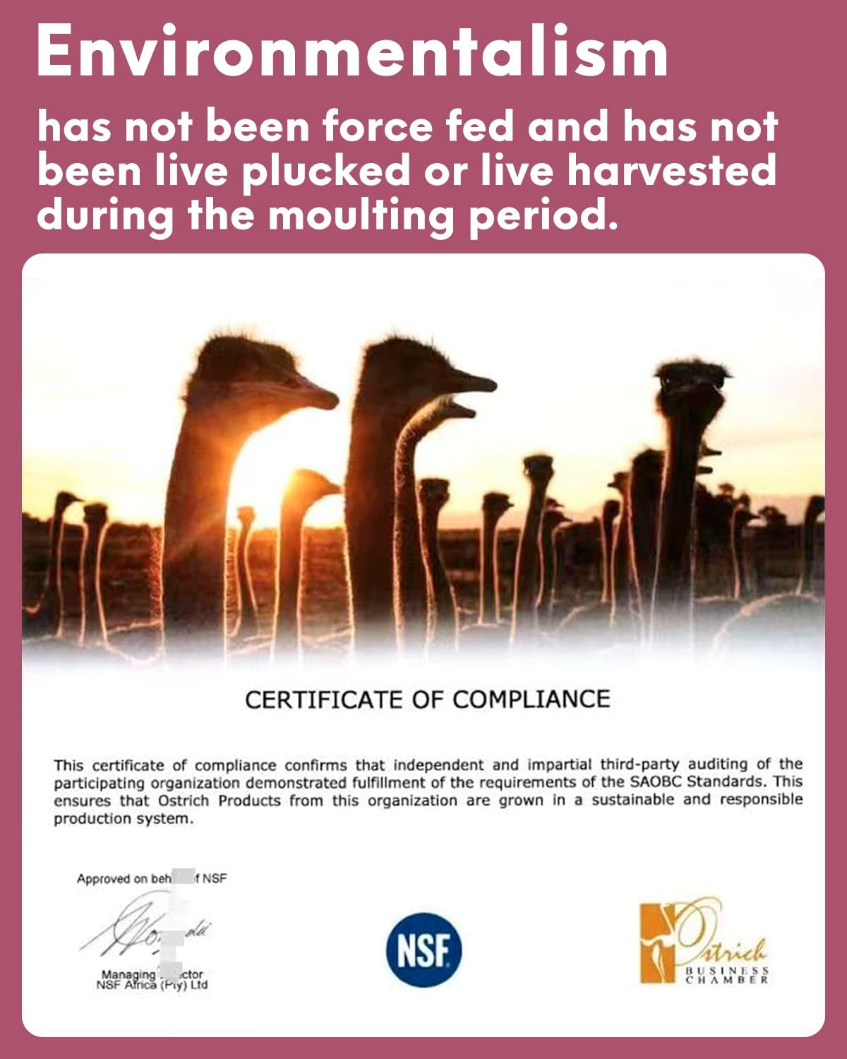 NEWONG 30pcs Wine red Ostrich Feathers Natural Bulk 8-10in（20-25cm） Vase Craft Wedding Home Party Centerpieces Christmas Day Decoration