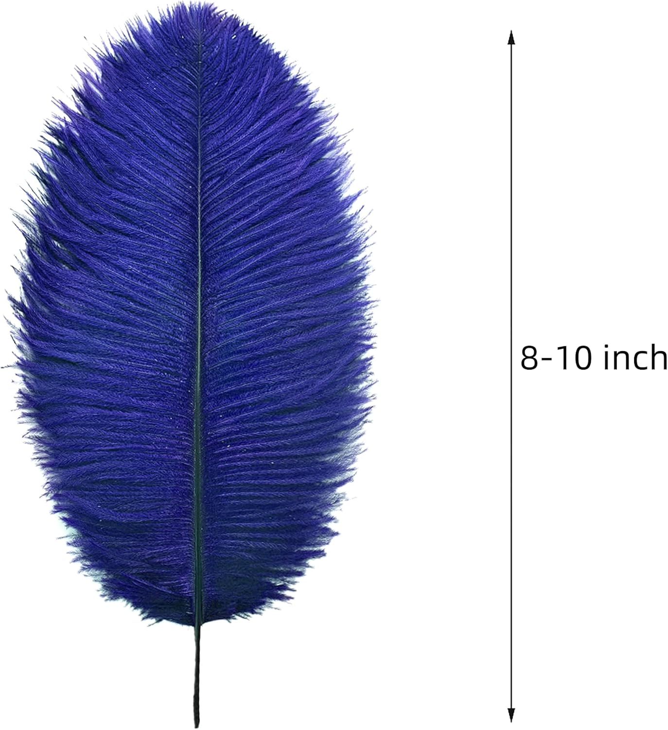 Ballinger Royal Blue Ostrich Feathers - 24Pcs 8-10inch Craft Feathers for Party Centerpieces, Flower Arrangement and Home Decor