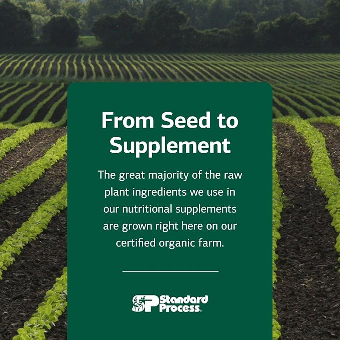 Standard Process Inc. Catalyn - Whole-Food Based Foundational Support for General Wellbeing with Vitamins D, C, A & B6, Thiamine, Riboflavin, Magnesium Citrate - 360 Tablets
